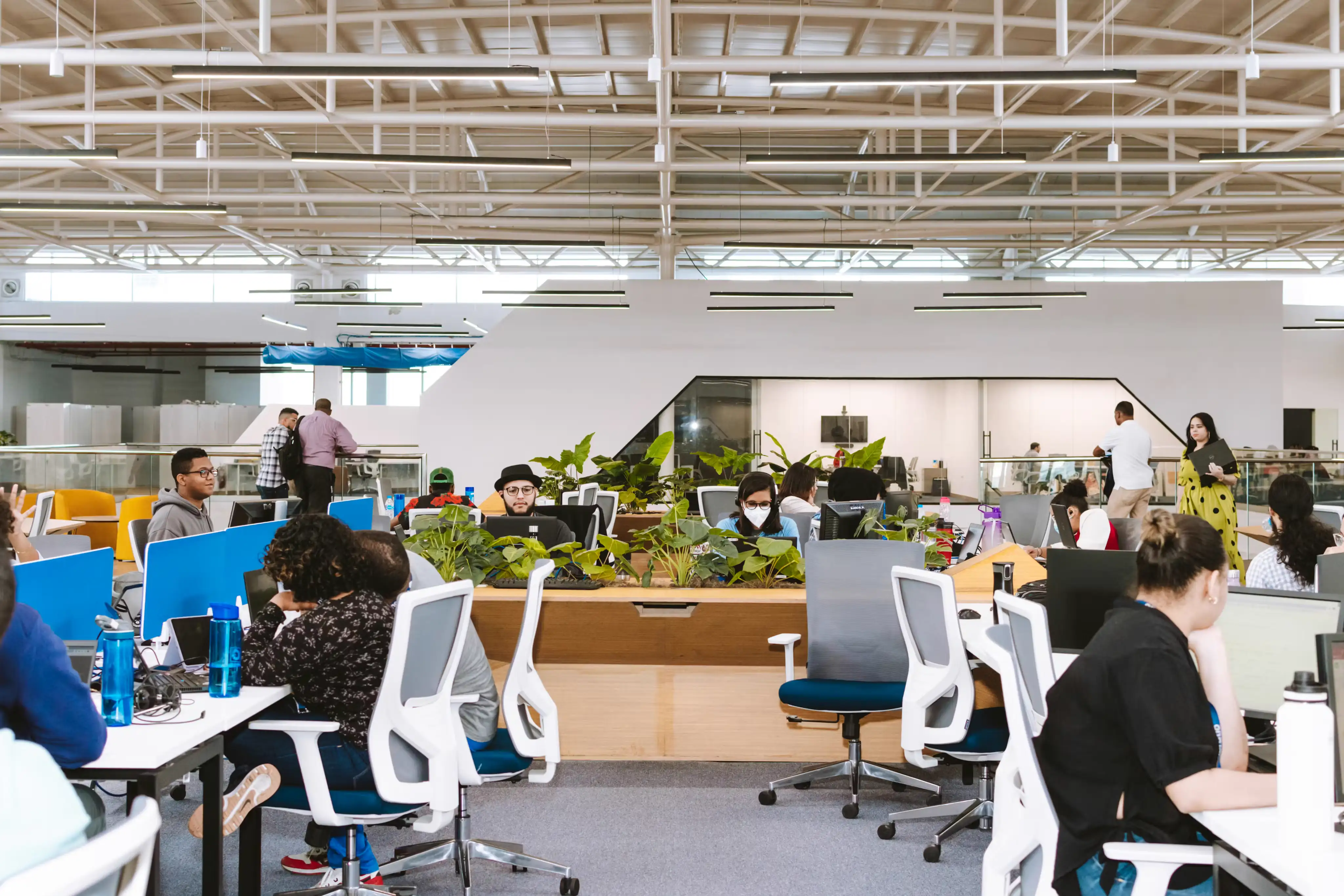 Horatio Team Collaboration